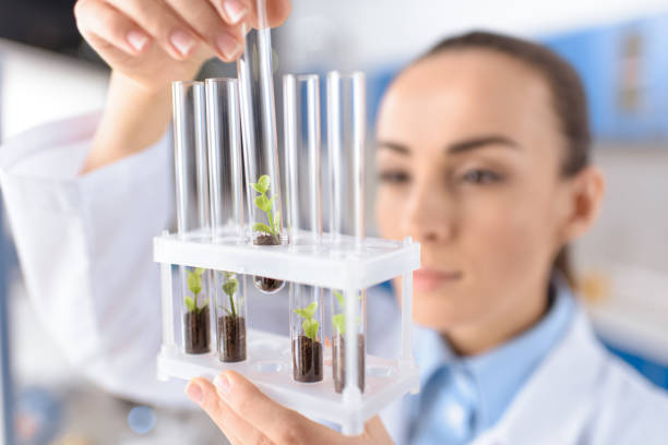 istock scientist holding laboratory tubes, focus on foreground 653364930