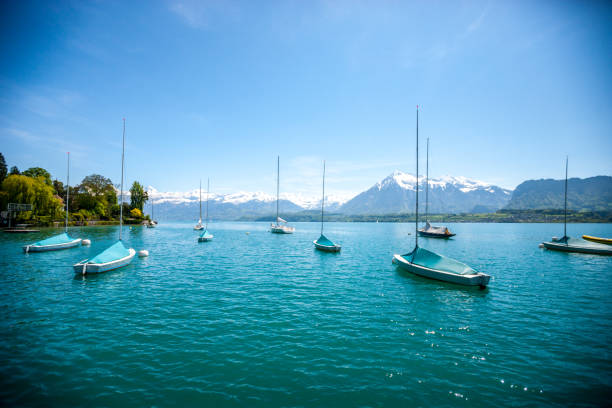 istock Lake Thun and Swiss Alps, Switzerland 653378992