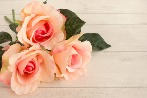 istock Pink Roses on Light Gray Wooden Background 653379818