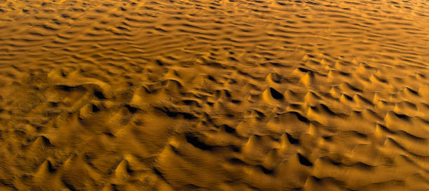 istock Golden sands of Sahara. Texture, Wallpaper, Background 653379906