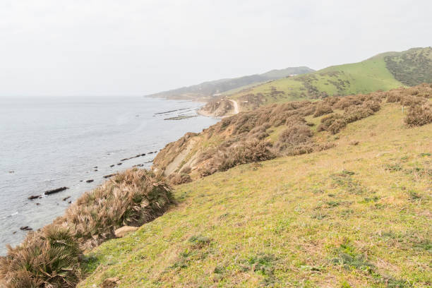 istock Strait Natural Park, Cadiz, Spain 653382436