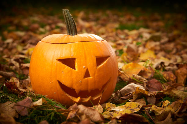 istock Pumpkins for halloween on green grass 653397520