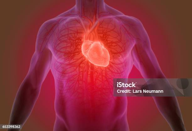 Foto de Renderização Em 3d Da Anatomia Do Coração Humano e mais fotos de stock de Válvula do Coração - Válvula do Coração, Sistema cardiovascular, Doença