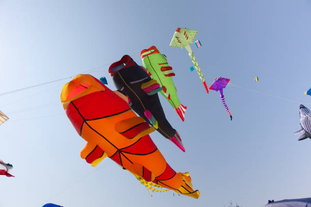 istock Various colorful kites flying in blue sky. Stingrays, Koi fish. 653406134