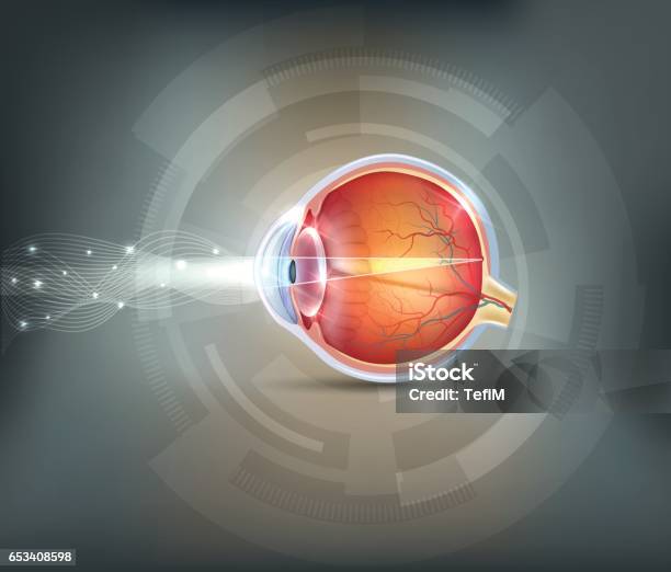 Eye Normal Map 4k Normal Eye Stock Illustration - Download Image Now - Diagram, Eye ...