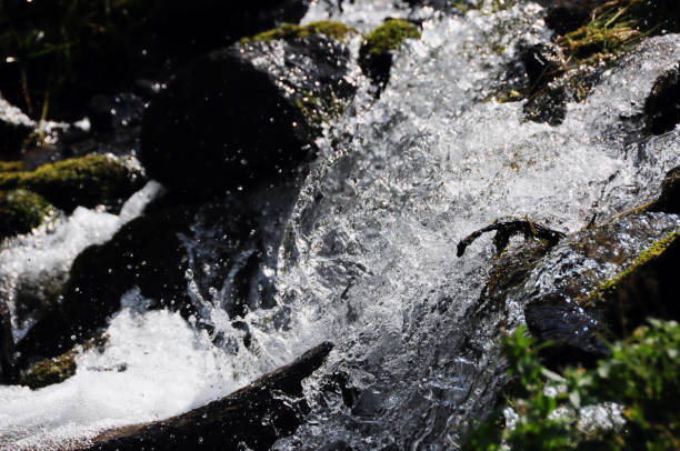 Free Stock Photo of water running over rocks | Download Free Images and ...