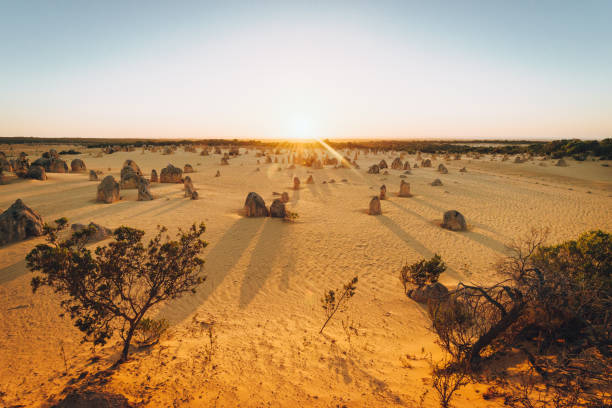 the pinnacles rocks at sunset - nambung national park imagens e fotografias de stock