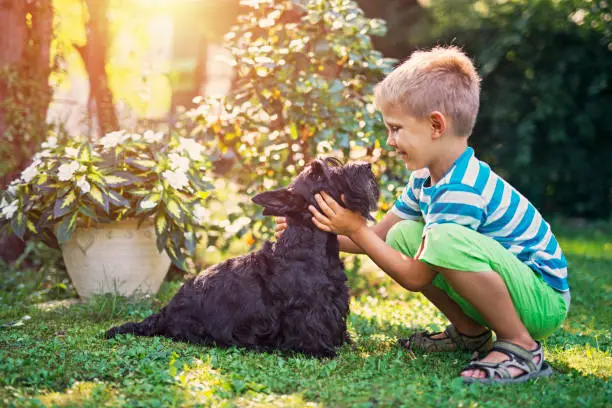 Happy little boy aged 7 is playing on the grass with his black dog.
