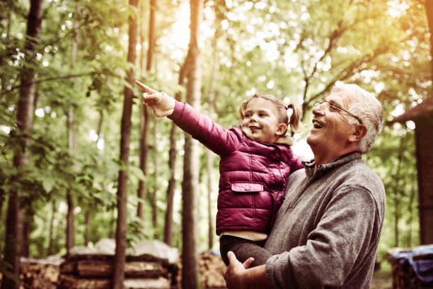 маленькая девочка показывает дедушке что-то в лесу. - grandparent grandfather granddaughter little girls стоковые фото и изображения