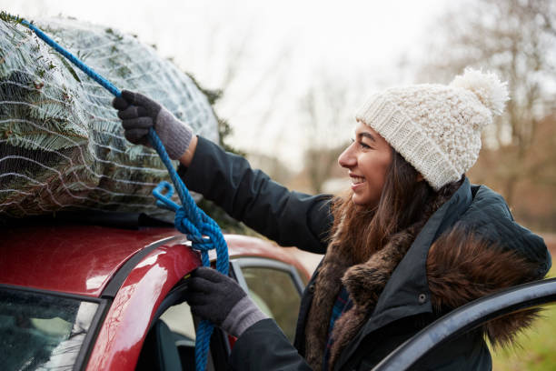 クリスマスツリーを車の屋根に結び付ける若い女性、クローズアップ - pulling a name from a hat ストックフォトと画像