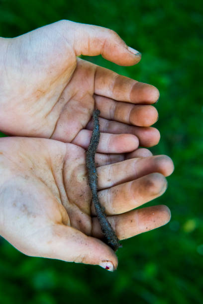 istock Child hand holding eartworm in the garden summertime 653443632