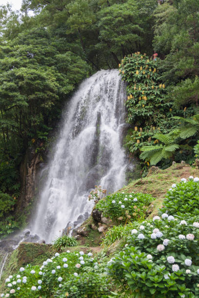 istock Waterfall in Achada Nordeste on Sao Miguel, Azores 653443662