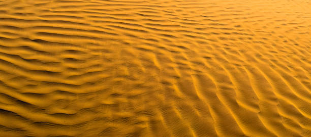 istock Golden sands of Sahara. Texture, Wallpaper, Background 653447202