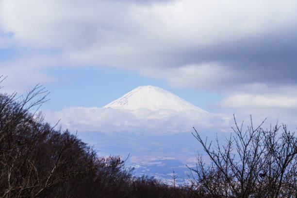 View of Mt. Fuji from Mt. Kintoki (Kanagawa/Shizuoka)\n