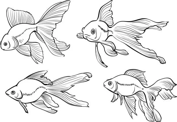 Vector illustration of Illustration of goldfishes.