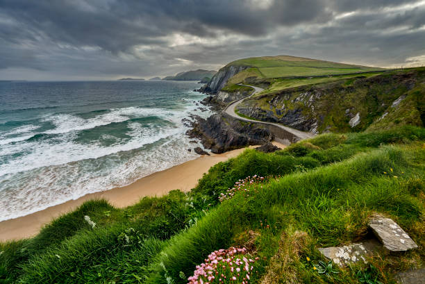 Slea Head,Dingle peninsula,Kerry,Ireland Slea Head,Dingle peninsula,Kerry,Ireland, Europe dingle bay stock pictures, royalty-free photos & images