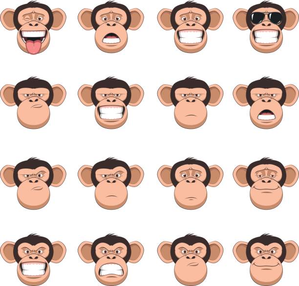 Set head monkey Vector illustration, funny chimpanzee smiling, set of monkey heads, different emotions, smileys, on a white background ape illustrations stock illustrations