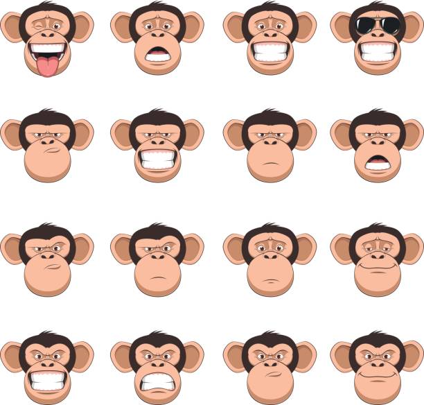 Set head monkey Vector illustration, funny chimpanzee smiling, set of monkey heads, different emotions, smileys, on a white background ape stock illustrations