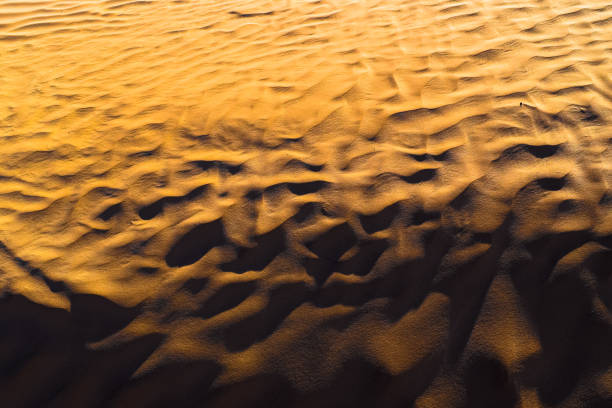 istock Golden sands of Sahara. Texture, Wallpaper, Background 653467504