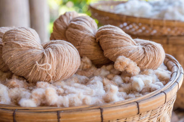 istock Handmade yarn from the cotton flower 653468248