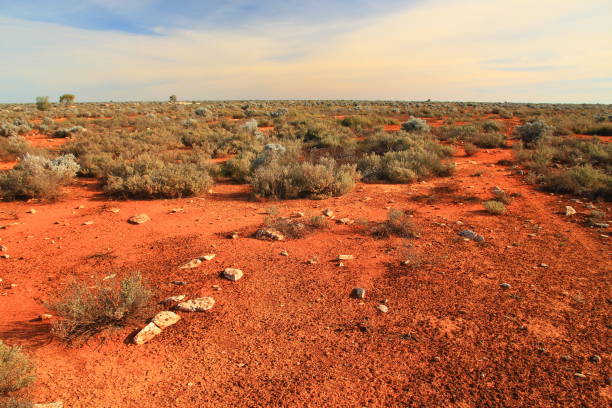 istock Dry plain of Australian outback 653468776