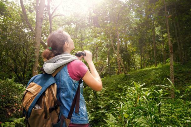 istock Traveller with backpacker watching through binoculars wildlife birds in the jungle. 653471320