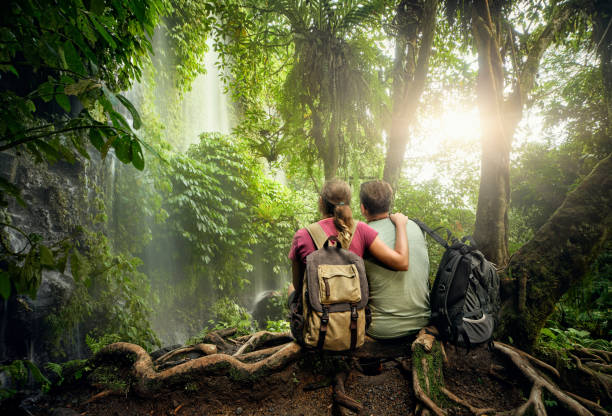 istock Couple hikers with backpacks enjoying view waterfall in rain forest 653471630