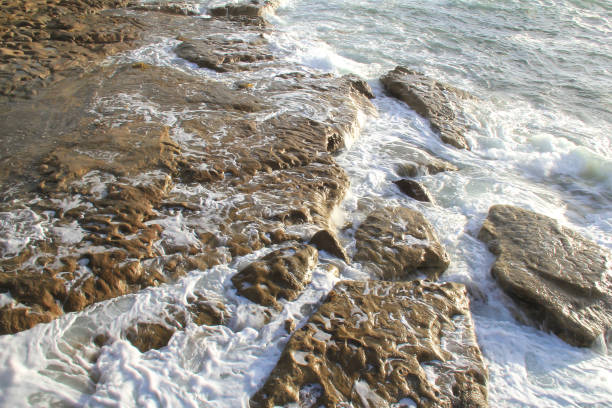 australia pacific coastline near Sydney entrance to Botany bay view on Bare island with navi citadel connected by historic wooden bridge at sunrise