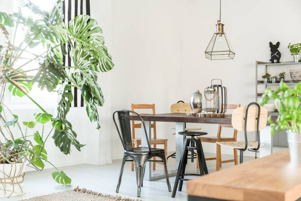 Bright dining room with table Bright dining room with table, chairs, bookshelf and green plant door panel stock pictures, royalty-free photos & images