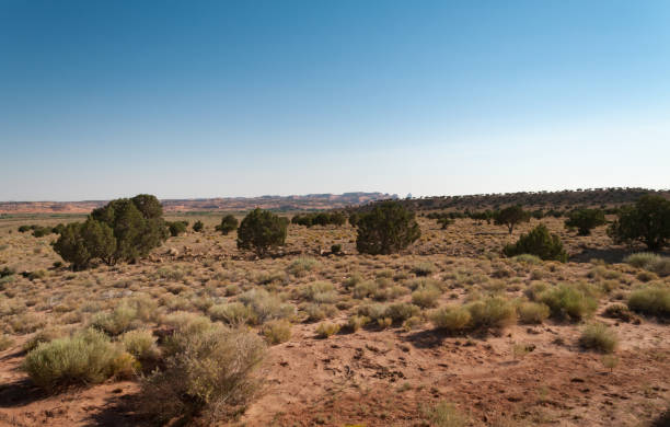 istock Canyon de Chelly, National Monument, Arizona 653487906