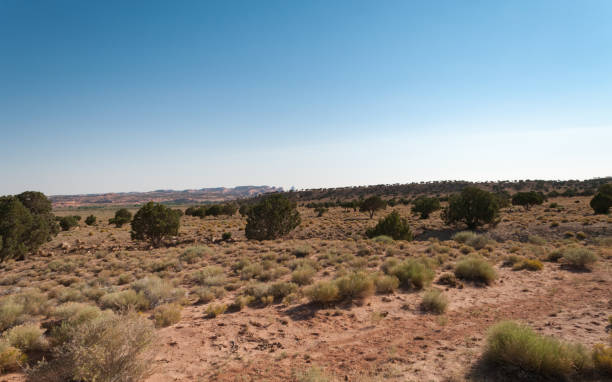 istock Canyon de Chelly, National Monument, Arizona 653490216