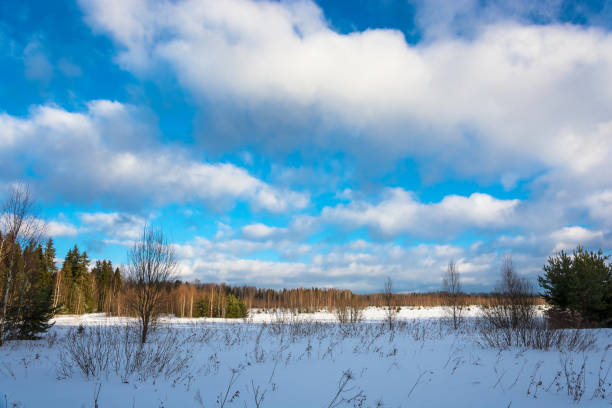 istock Winter landscape at Sunny winter day. 653491264