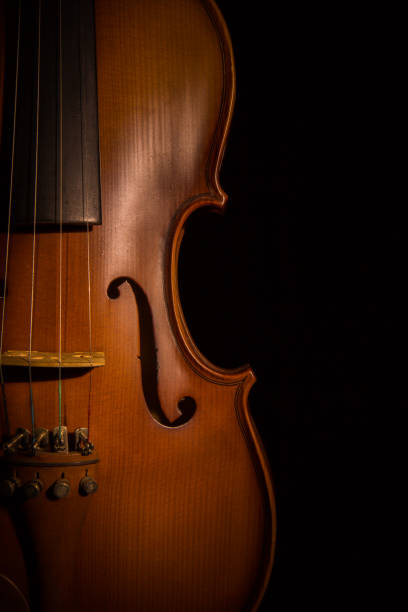 istock violin vintage on blackl background 653491490