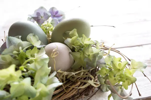 Tender still life with easter eggs in a nest in vintage style