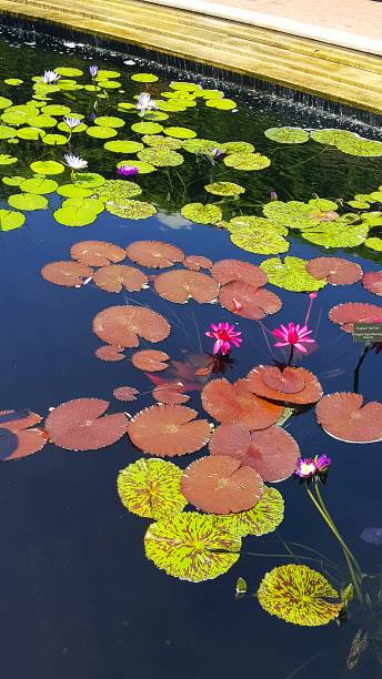 Chicago Botanic Garden