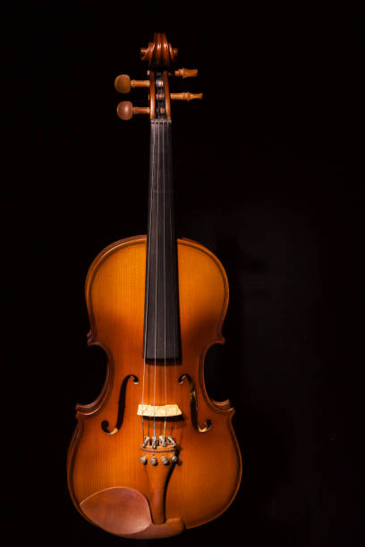 istock violin vintage on blackl background 653495568