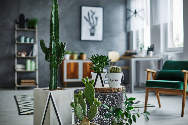 chambre avec décorations de cactus - model home house home interior plate photos et images de collection