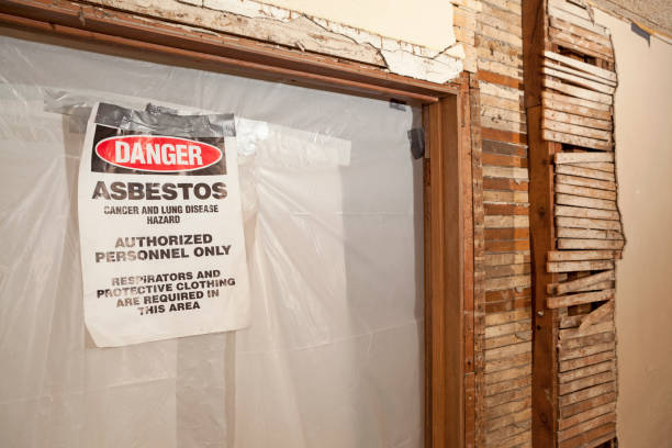 Exposed Wood Wall with Doorway Sealed Off for Asbestos Abatement stock photo