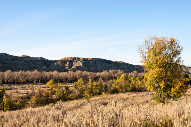 istock North Dakota Landscape 653503862