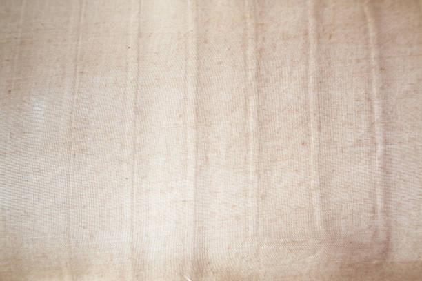 Brown Rib Textured 260+ Rib Cotton Stock Photos, Pictures & Royalty-Free Images - iStock