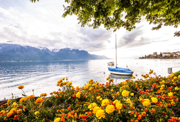 istock Springtime in Montreux, Switzerland 653525414