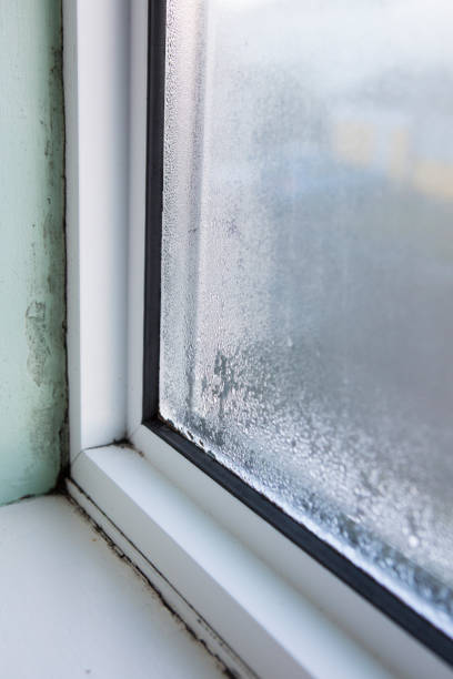 istock House Window With Damp And Condensation 653532674