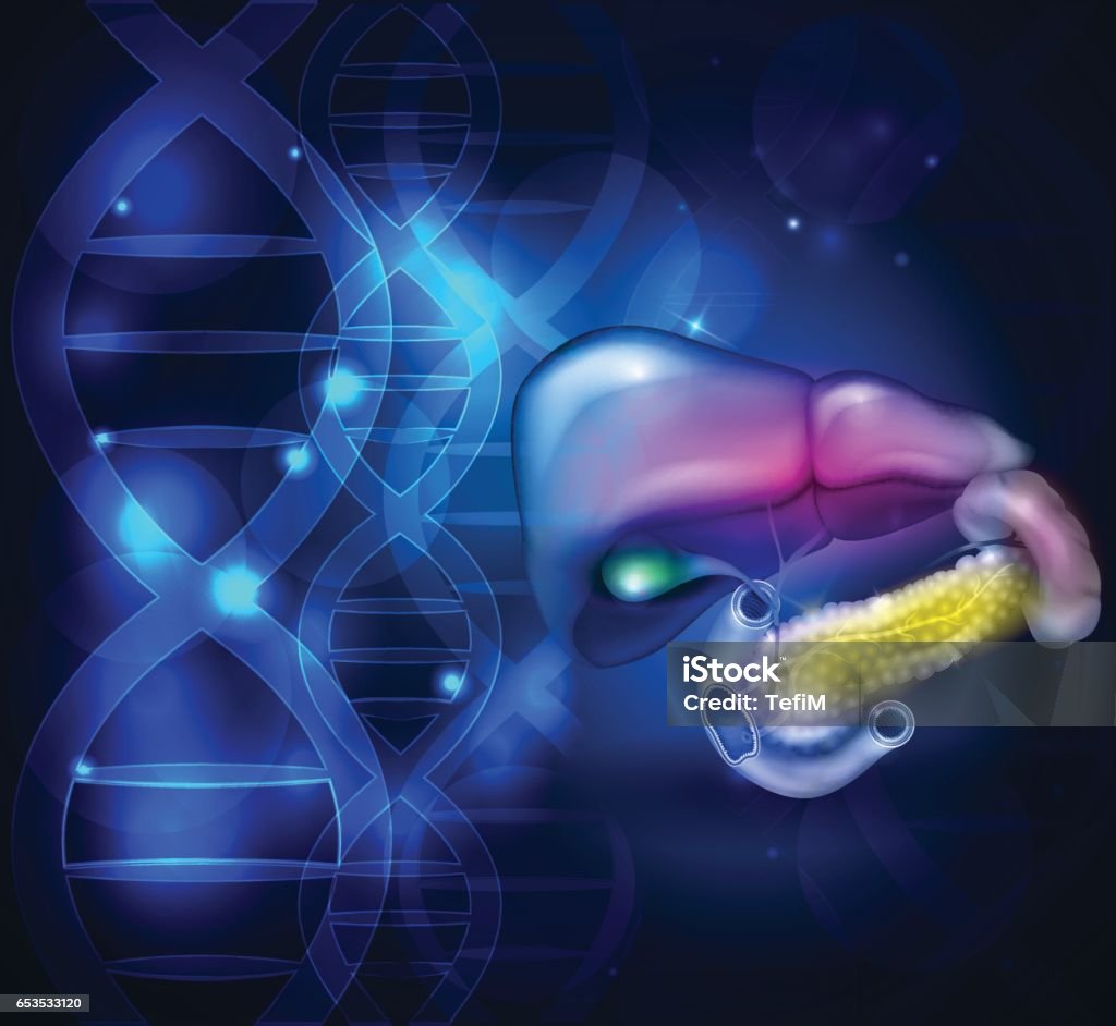 Abstract Internal Organs Internal Organs Stock Illustration - Download Image Now - DNA, Pancreas ...