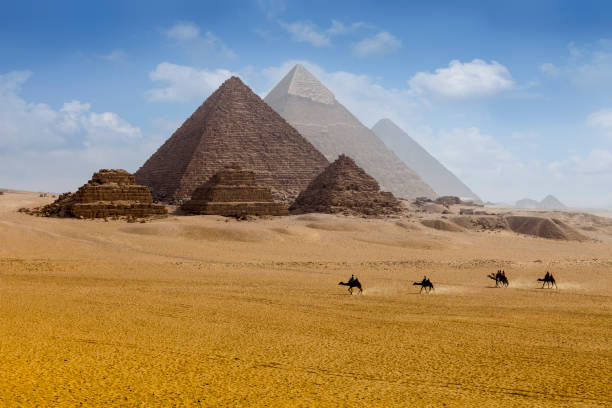 Pyramids egypt The camel caravan is in front of the Egyptian pyramids. kheops pyramid stock pictures, royalty-free photos & images