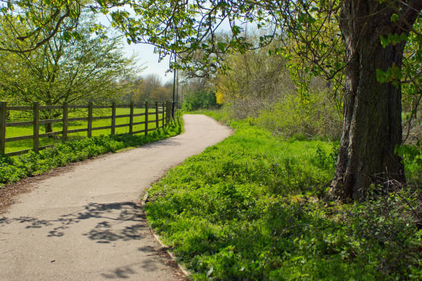 istock Country Lane in Huntingdon 653547176