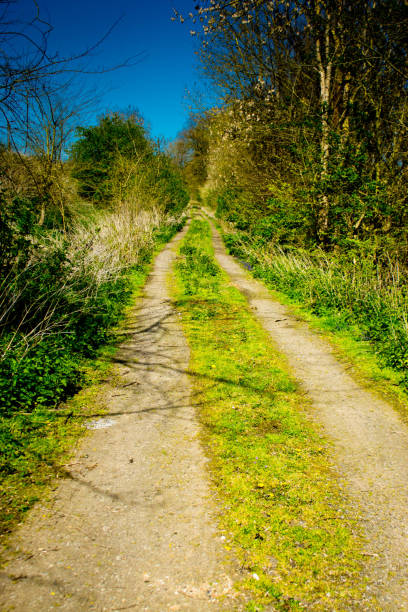 istock Country Lane in Huntingdon 653547284