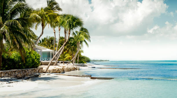 istock Panorama of paradise beach - Cayman Islands 653550456