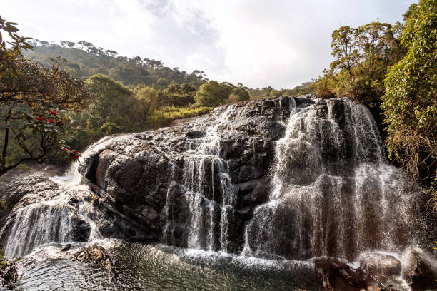 istock Waterfall landscape in Sri Lanka 653726682