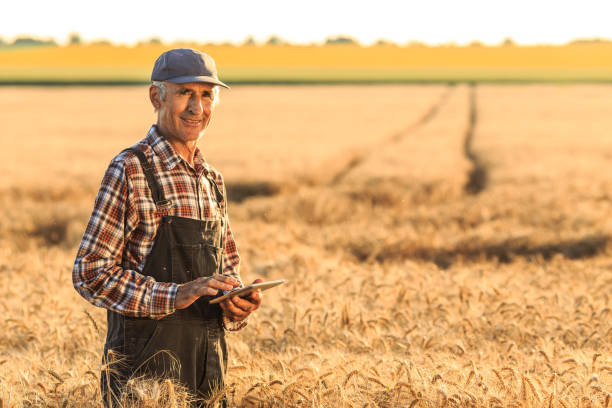 istock Farm worker with digital tablet in wheat field 653746818
