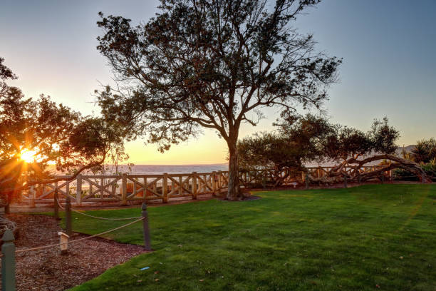 istock Palisades Park, Santa Monica California 653749720